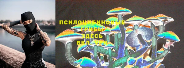 наркотики Белокуриха