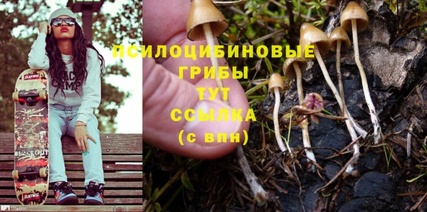 не бодяженный Богданович