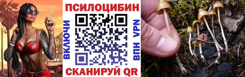 закладка мега ONION Псилоцибиновые грибы мицелий нарко площадка наркотические препараты Вуктыл